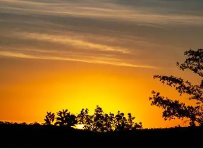 a silhouette of a sunset with trees in the foreground at Metsi Lodge in Welgevonden Game Reserve