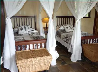 two beds with white drapes in a bedroom at Metsi Lodge in Welgevonden Game Reserve