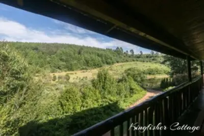 a view of a forest from a train window at Mountain Fly Fishing in Magoebaskloof
