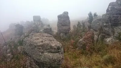 a rock formation on a mountain in the fog at Green Venus in Kaapsehoop