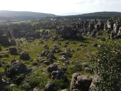 a large field of rocks and grass with trees at Green Venus in Kaapsehoop