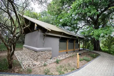 a small building in the middle of a forest at Little Africa Safari Lodge in Hoedspruit