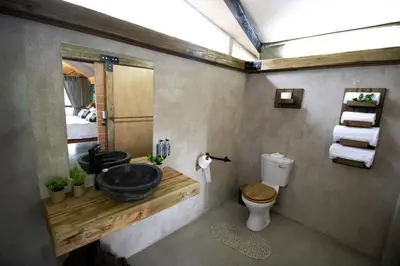 a bathroom with a sink and a toilet and a mirror at Little Africa Safari Lodge in Hoedspruit