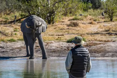 a man standing in the water looking at an elephant at Simbavati Trails Camp in Timbavati Game Reserve