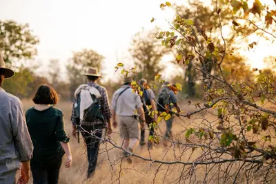 a group of people walking down a dirt road at Simbavati Trails Camp in Timbavati Game Reserve