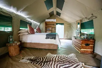 a zebra laying on the floor of a bedroom at Sable Creek Safari Lodge in Tzaneen