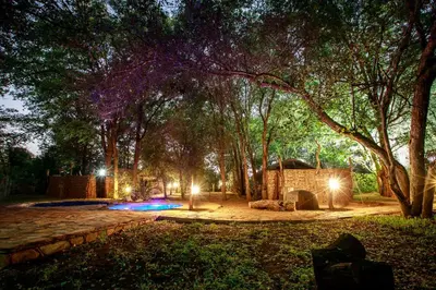 a night view of a park with a tent and trees at Sable Creek Safari Lodge in Tzaneen