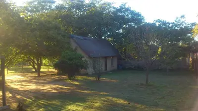 a small house in a yard with trees at 41 Ridge- self catering cottages in Midrand