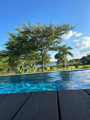a swimming pool with a tree in the background at Lira Boutique Lodge in Thohoyandou