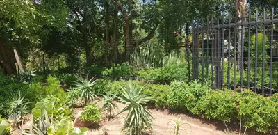 Gallery image of A Farm Stay - Casablanca's Private Cottage,no loadshedding! in Hazyview