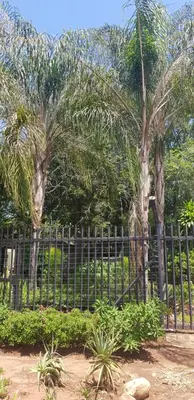 Gallery image of A Farm Stay - Casablanca's Private Cottage,no loadshedding! in Hazyview