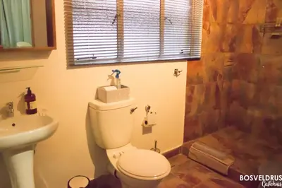 a bathroom with a toilet and a sink and a shower at Bosveldrus Gastehuis in Vaalwater