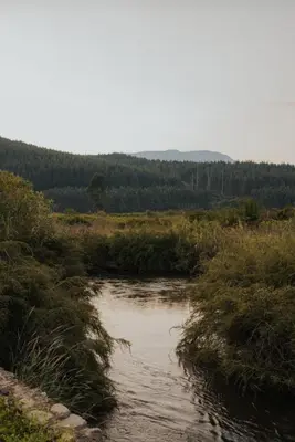 a river in the middle of a field with trees at Floreat Riverside Lodge and Spa in Sabie