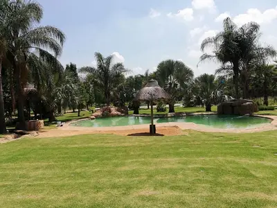 a swimming pool in a park with palm trees at MixoSunrise Guesthouse & Spa in Pretoria