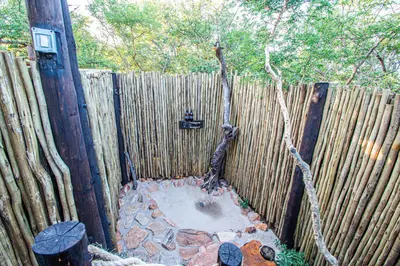 a backyardificialificialificialificialificialificialificialificialificialificialificialificialificialificial at Mountain View Safari Lodge in Hoedspruit
