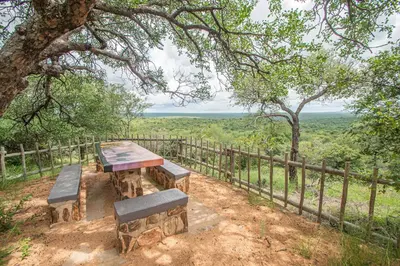 a picnic table and benches sitting under a tree at Mountain View Safari Lodge in Hoedspruit