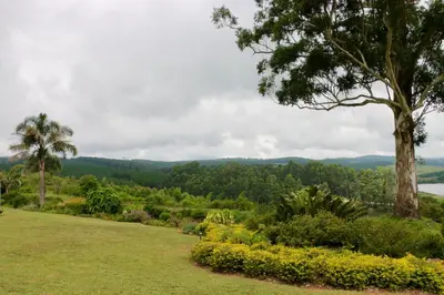 a park with a palm tree and mountains in the background at Lakeview Cottages in Haenertsburg