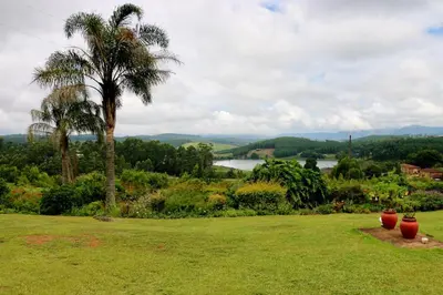a green yard with a palm tree and a field at Lakeview Cottages in Haenertsburg