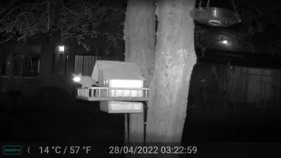 a toaster sitting next to a tree at night at Kiburi Lodge @ Kruger, a secluded Bushveld getaway in Marloth Park