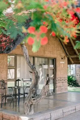 a tree in front of a building with tables and chairs at Tshukudiba Game Lodge in Tom Burke