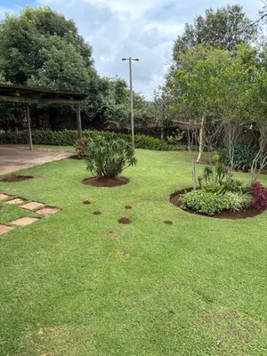 a garden with two plants in the grass at Le Soleil in Graskop