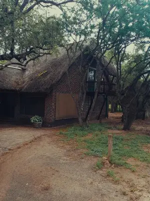 a building with a thatch roof with a tree at Carpe Diem in Marloth Park