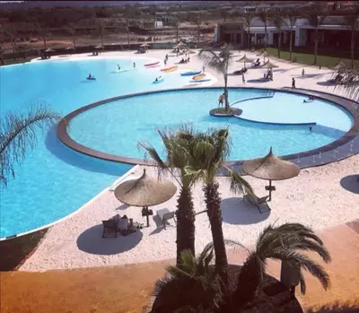 a large swimming pool with palm trees and umbrellas at The Blyde in Pretoria