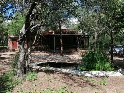 a house in the middle of a yard with a tree at Coga Cottage - Marloth Park in Marloth Park