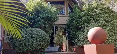 a building with a bunch of bushes and trees at Canyon guest villa in Hoedspruit