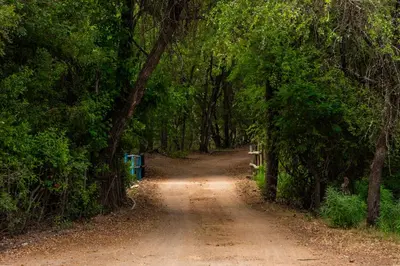 a dirt road through a forest with trees at ATKV Eiland Spa in Letsitele