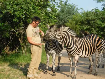 a man standing between two zebras on a road at Adventure Bush House in Marloth Park