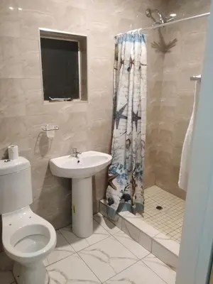 a bathroom with a toilet and a sink and a shower at Classic-Lodge in Kempton Park
