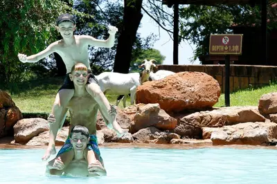two boys are jumping in the water in a pool at Sondela Nature Reserve & Spa Moselesele Tents in Bela-Bela
