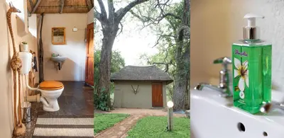 two pictures of a bathroom with a tree and a toilet at Shumba Safari Bush Camp in Hoedspruit