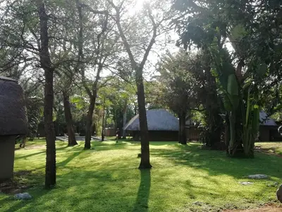 a field of grass with trees and a building at Shumba Safari Bush Camp in Hoedspruit