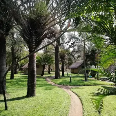 Shumba Safari Bush Camp