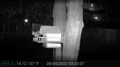 a bench sitting next to a tree at night at Kiburi Cottage @ Kruger in Marloth Park