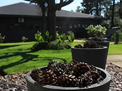 two large pots of plants in a yard at Vista ORT in Kempton Park