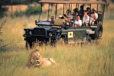 a group of people in a safari vehicle in the grass at Legend Golf and Safari Resort in Sterkrivier