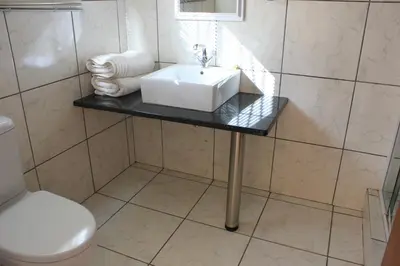 a bathroom with a sink and a toilet at El Palmar Guesthouse in Groblersdal