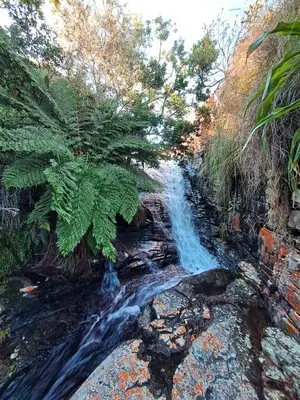 a waterfall on a river with trees and rocks at Schaefers' Halt in Dullstroom