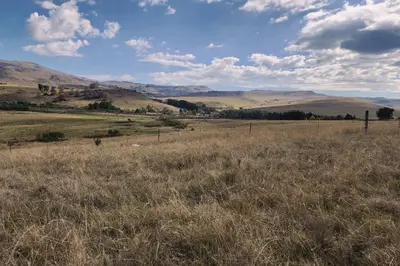a field of brown grass with mountains in the background at Schaefers' Halt in Dullstroom
