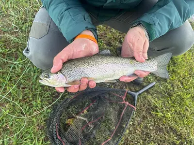 a person holding a fish in their hands at Schaefers' Halt in Dullstroom