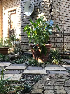 a garden with plants in pots next to a brick wall at Beni Apartment in Pretoria