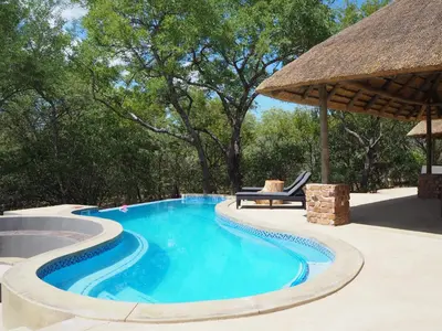 a swimming pool with a straw umbrella and a bench at Pata Pata House in Marloth Park