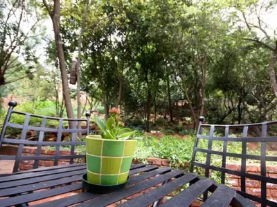 a plant in a green pot sitting on a wooden table at Bellstone B&B in Pretoria