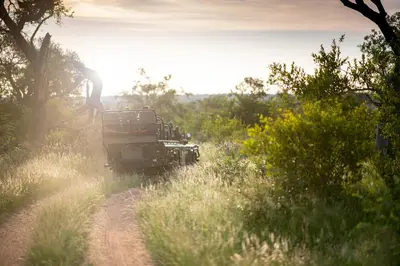 a truck driving down a dirt road in a field at Simbavati Camp George in Klaserie Private Nature Reserve
