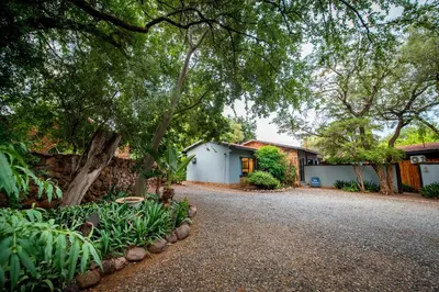 a driveway of a house with trees and plants at Interlude Guest House in Thabazimbi