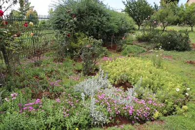 a garden with many different types of flowers at SiriMiri Cottage Dullstroom in Dullstroom