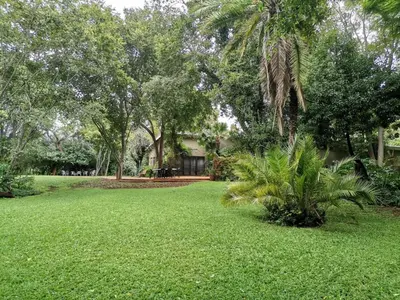 a yard with green grass and trees and a house at Karee Laagte in Leeuwfontein